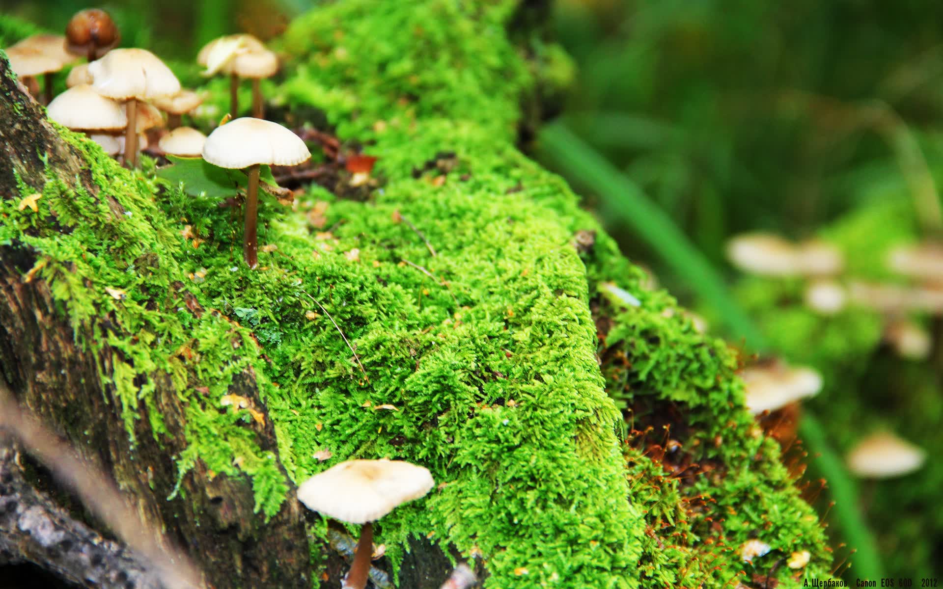 世界游艇青年赛赛事志愿者招新活动全面展开，游艇锦标赛
